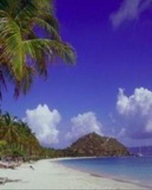 0044nature.jpg Nature