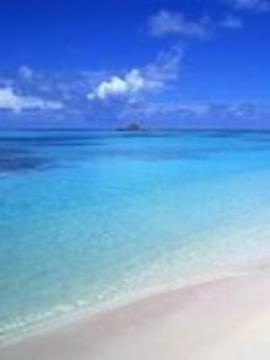 0045Nature.jpg Nature