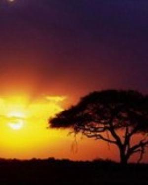 0045nature.jpg Nature