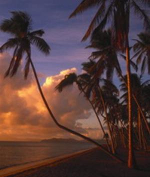 00460Nature.jpg Nature