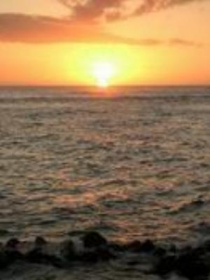 0046Nature.jpg Nature