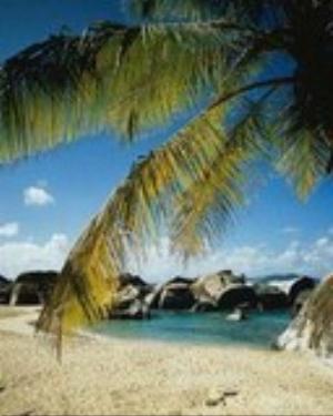 0046nature.jpg Nature