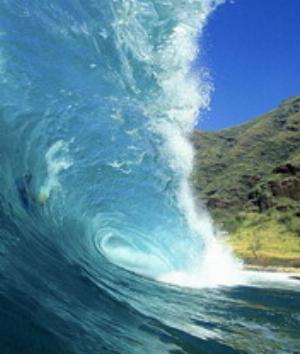 00480Nature.jpg Nature