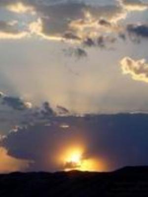 0048Nature.jpg Nature