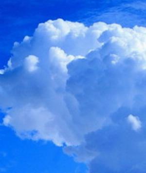 00500Nature.jpg Nature