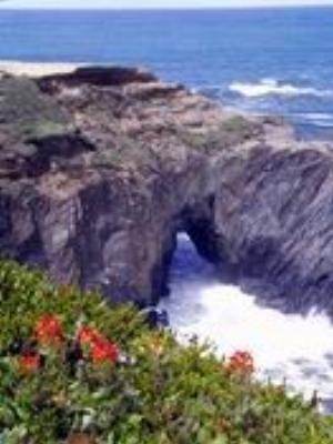 0050Nature.jpg Nature