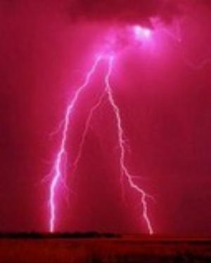 0051nature.jpg Nature