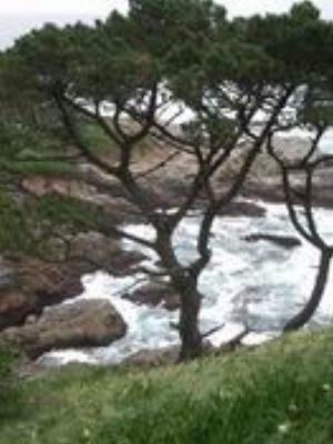 0054Nature.jpg Nature