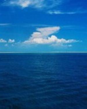 0054nature.jpg Nature