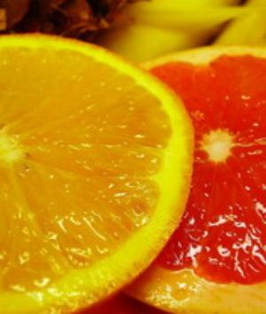 00550Nature.jpg Nature