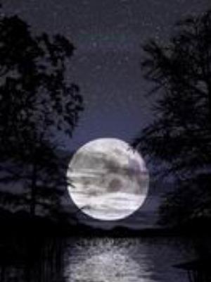 0056Nature.jpg Nature