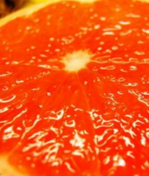 00570Nature.jpg Nature