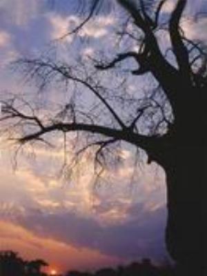 0057Nature.jpg Nature