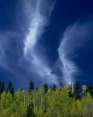 0057nature.jpg Nature