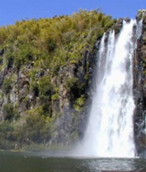 00580Nature.jpg Nature