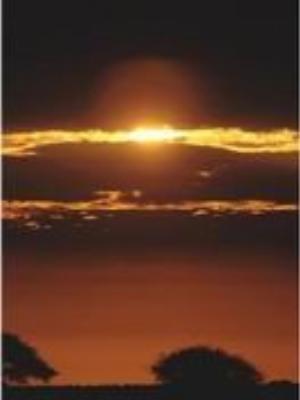 0058Nature.jpg Nature