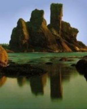 0058nature.jpg Nature