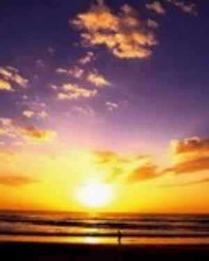 0059nature.jpg Nature