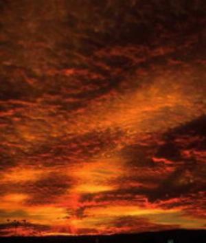 00600Nature.jpg Nature