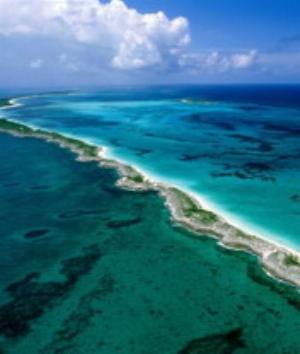 00610Nature.jpg Nature