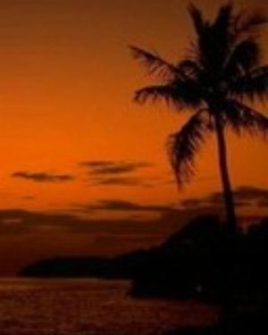 0061nature.jpg Nature