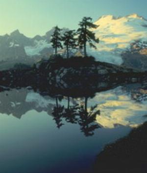 00620Nature.jpg Nature