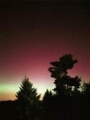 0062Nature.jpg Nature