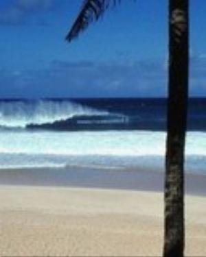 0064nature.jpg Nature