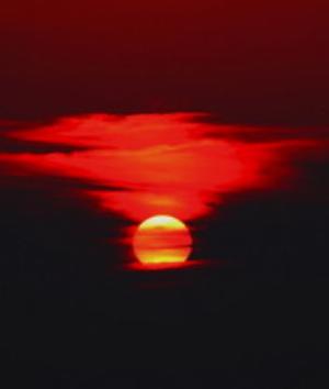 00650Nature.jpg Nature