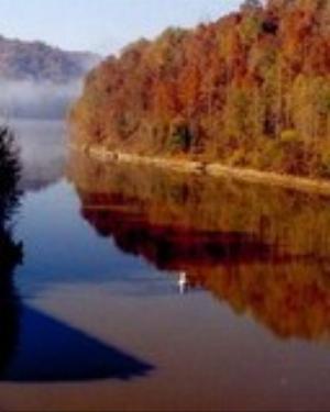 0065nature.jpg Nature