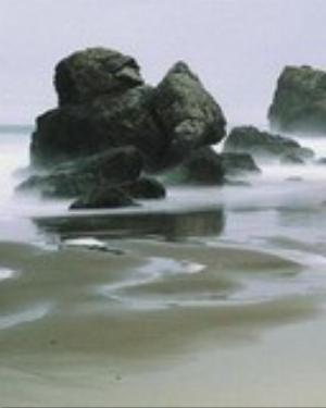 0066nature.jpg Nature