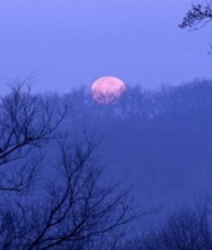 00670Nature.jpg Nature