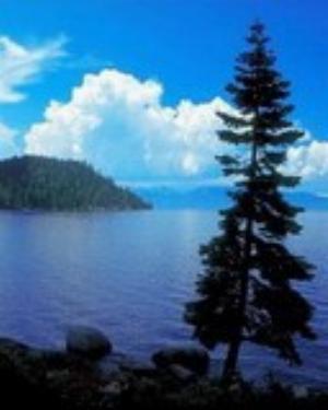 0067nature.jpg Nature