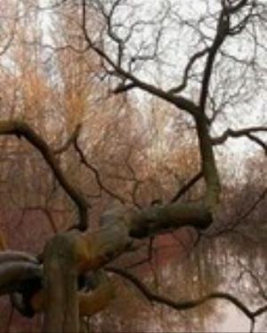 0069nature.jpg Nature