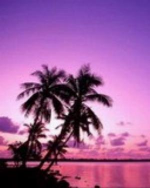 0070nature.jpg Nature