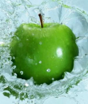 00710Nature.jpg Nature