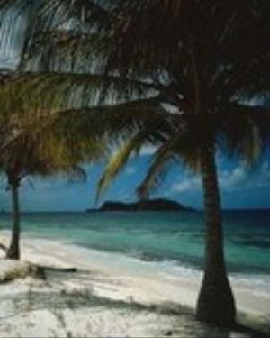 0074nature.jpg Nature