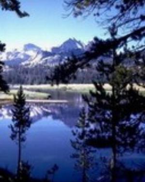 0077nature.jpg Nature