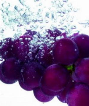 00790Nature.jpg Nature