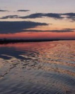 0079nature.jpg Nature