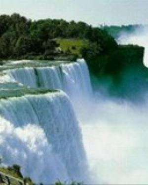 0081nature.jpg Nature