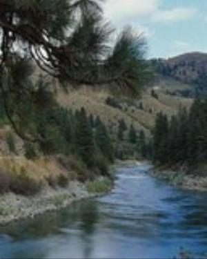 0083nature.jpg Nature