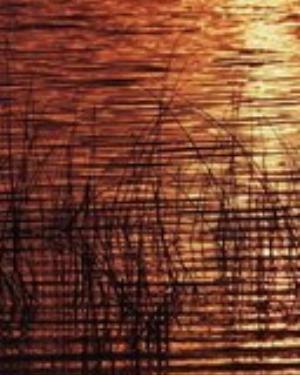 0084nature.jpg Nature