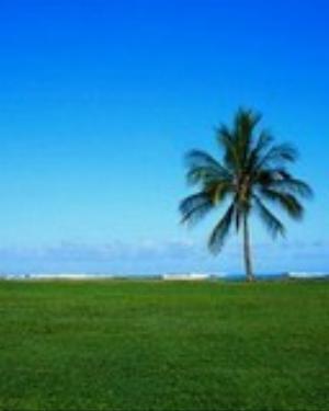 0086nature.jpg Nature