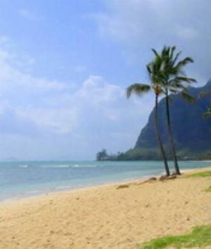 00870Nature.jpg Nature