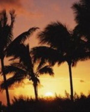 0088nature.jpg Nature