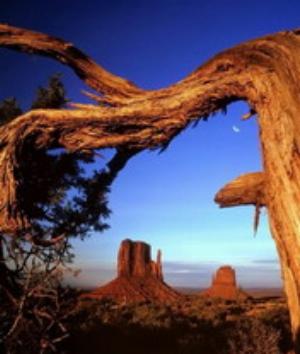 00910Nature.jpg Nature