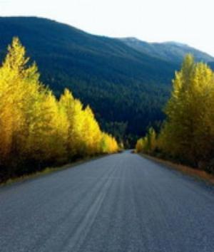 00930Nature.jpg Nature