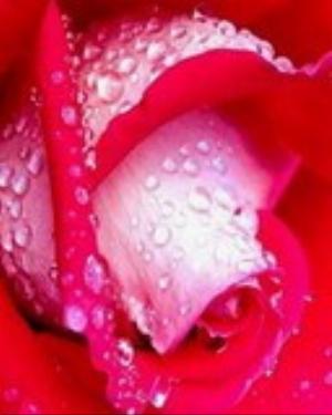 0100nature.jpg Nature