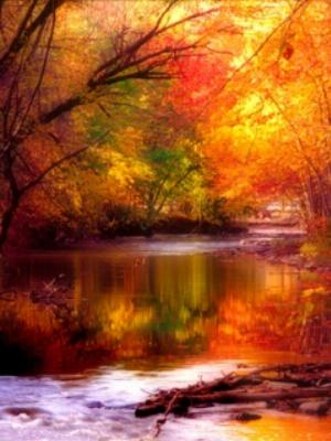 Beautiful.jpg Nature